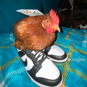 Meet your Posher, Bubonic